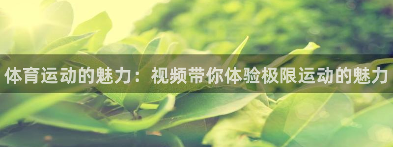 一竞技官网下载招商：体育运动的魅力：视频带你体验极限