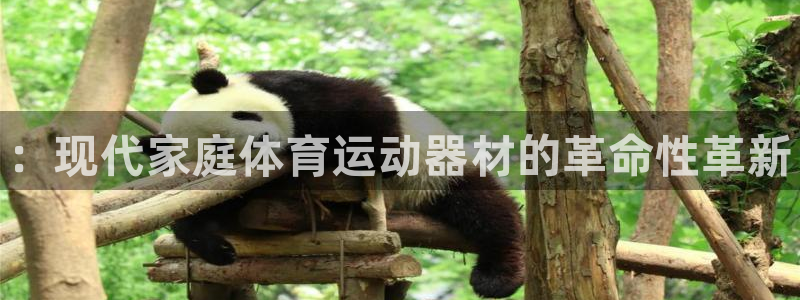 一竞技官网下载联系电话：：现代家庭体育运动器材的革命