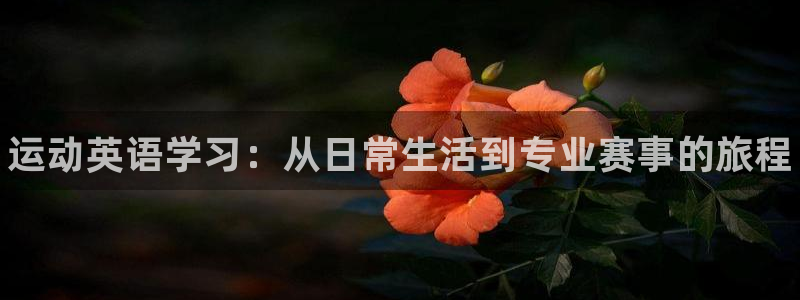 注册一竞技官方正版app：运动英语学习：从日常生活到