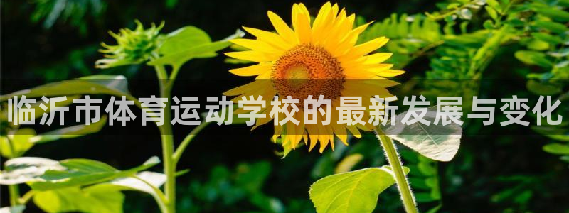 一竞技官方正版app娱乐代理怎么样