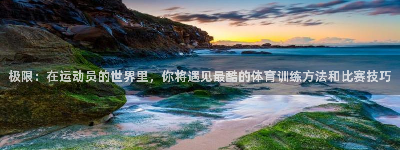 一竞技官方正版app集团官网首页网址：极限：在运动员的世界里