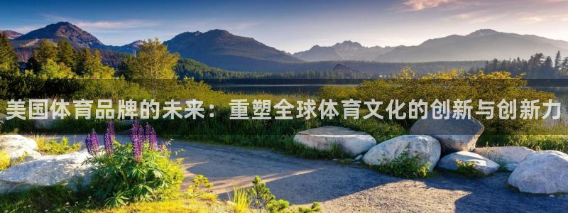 一竞技官网下载招商电话地址是多少：美国体育品牌的未来