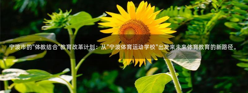一竞技官网下载平台是正规平台吗安全吗：宁波市的\