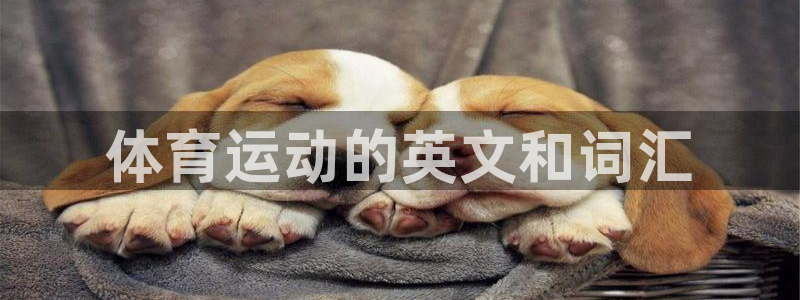 一竞技官网下载娱乐：体育运动的英文和词汇