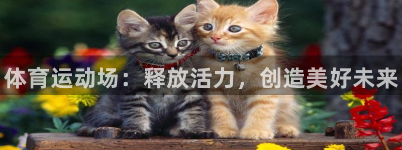 一竞技官网下载招商电话是多少号码：体育运动场：释放活