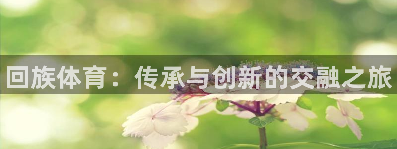 一竞技官方正版app娱乐网站：回族体育：传承与创新的交融之旅