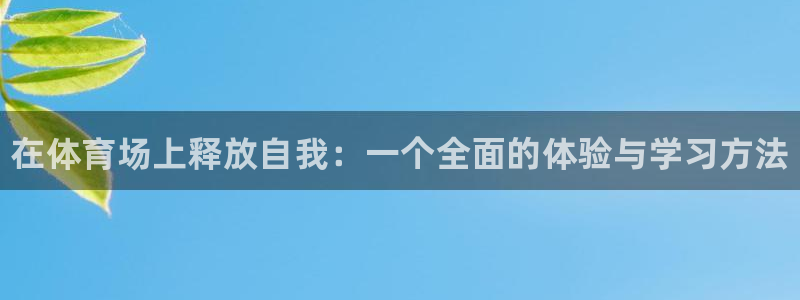 一竞技官方正版app集团：在体育场上释放自我：一个全面的体验