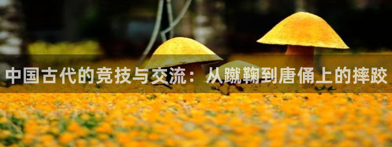 一竞技官方正版app娱乐是那个系列的台子：中国古代的