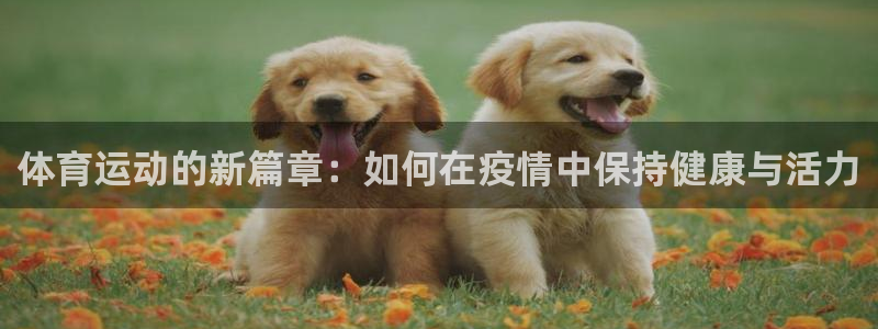 一竞技官网下载：体育运动的新篇章：如何在疫情中保持健