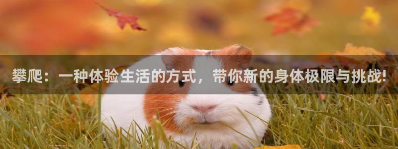 一竞技官网下载招商电话号码：攀爬：一种体验生活的方式，带你新