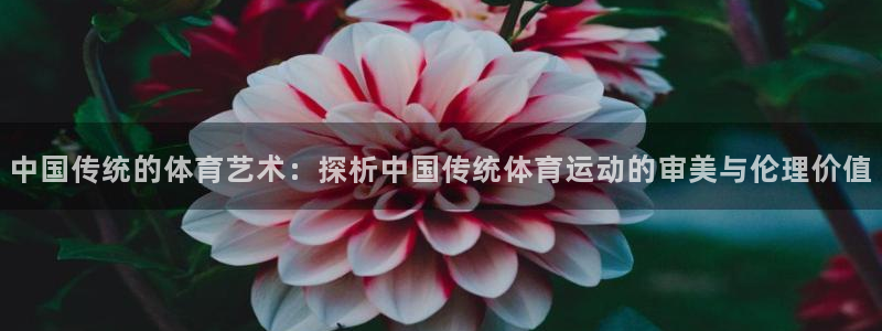 一竞技官网下载平台注册要钱吗安全吗：中国传统的体育艺