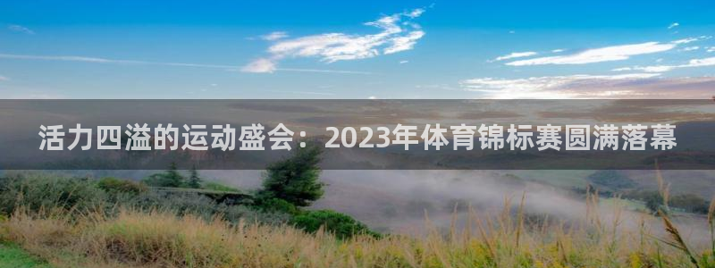 一竞技官网下载平台APP：活力四溢的运动盛会：2023年体育