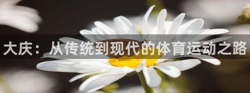 一竞技官方正版app代理