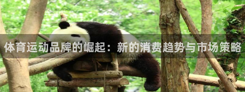 一竞技官方正版app娱乐网站：体育运动品牌的崛起：新的消费趋