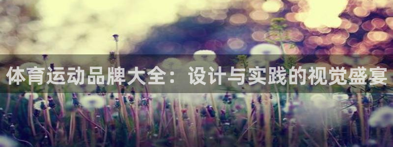 一竞技官网下载招商电话号码是多少啊：体育运动品牌大全：设计与