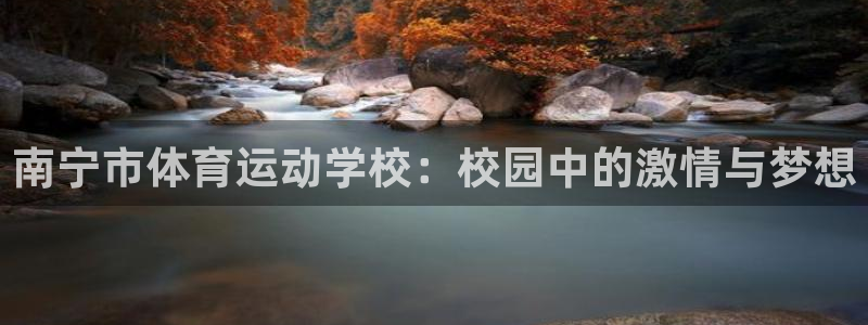 一竞技官网下载平台注册流程视频：南宁市体育运动学校：