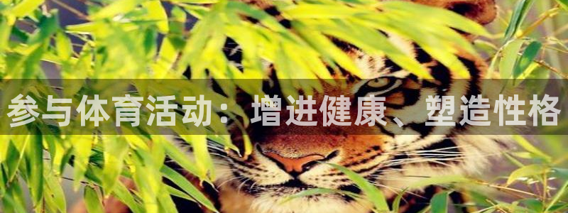 一竞技官网下载软件：参与体育活动：增进健康、塑造性格