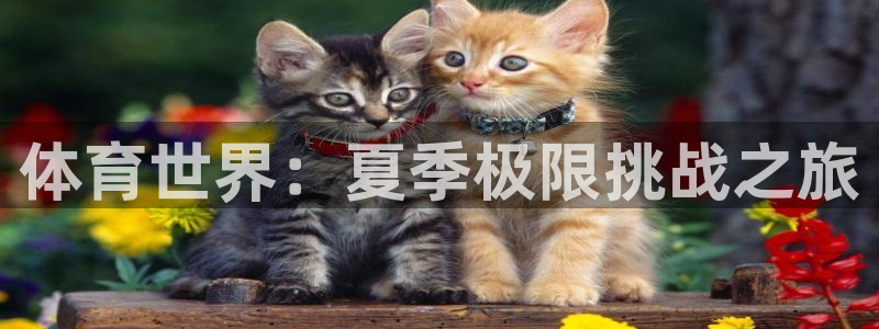 一竞技官方正版app娱乐首页官网下载：体育世界：夏季